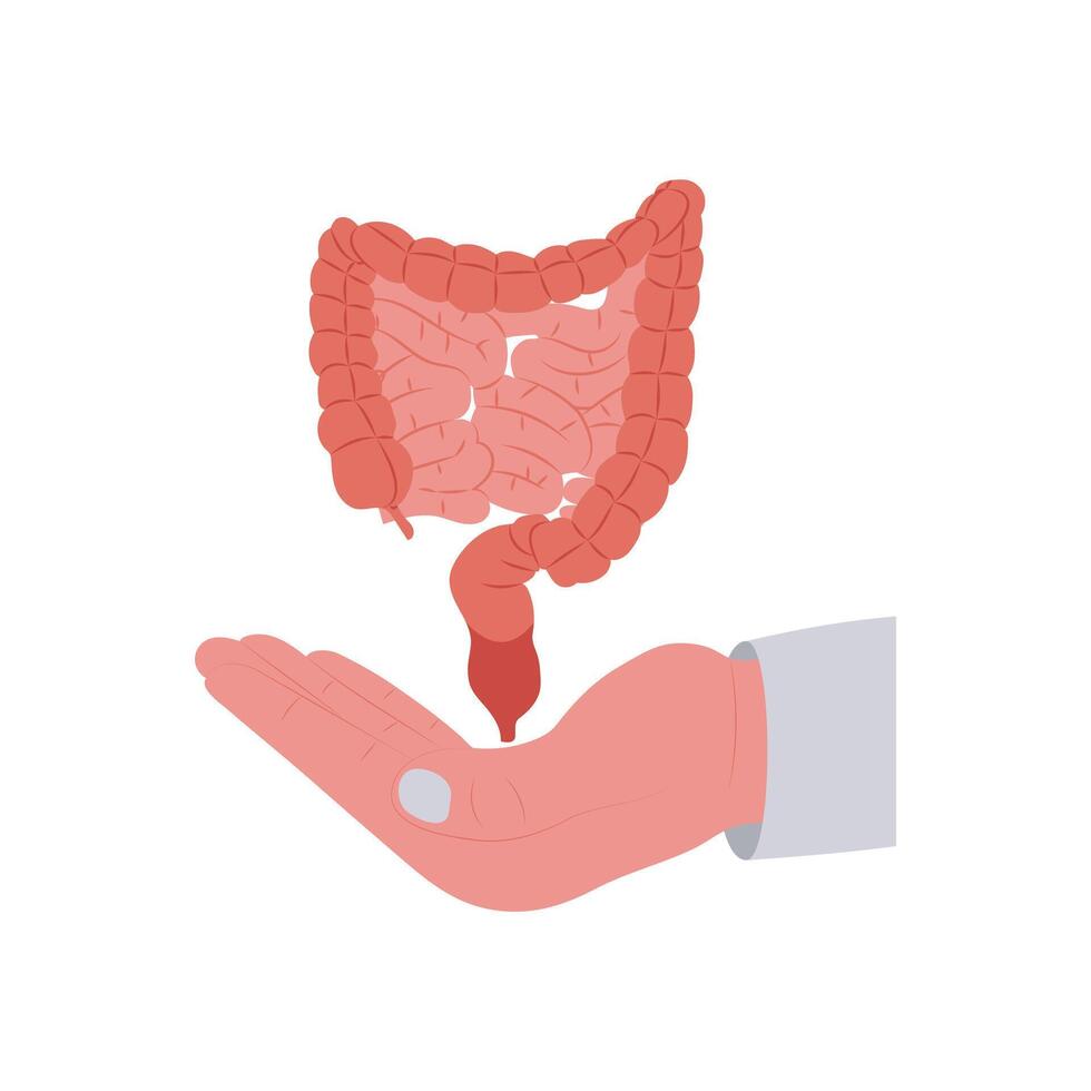 Donate Intestine Illustration vector