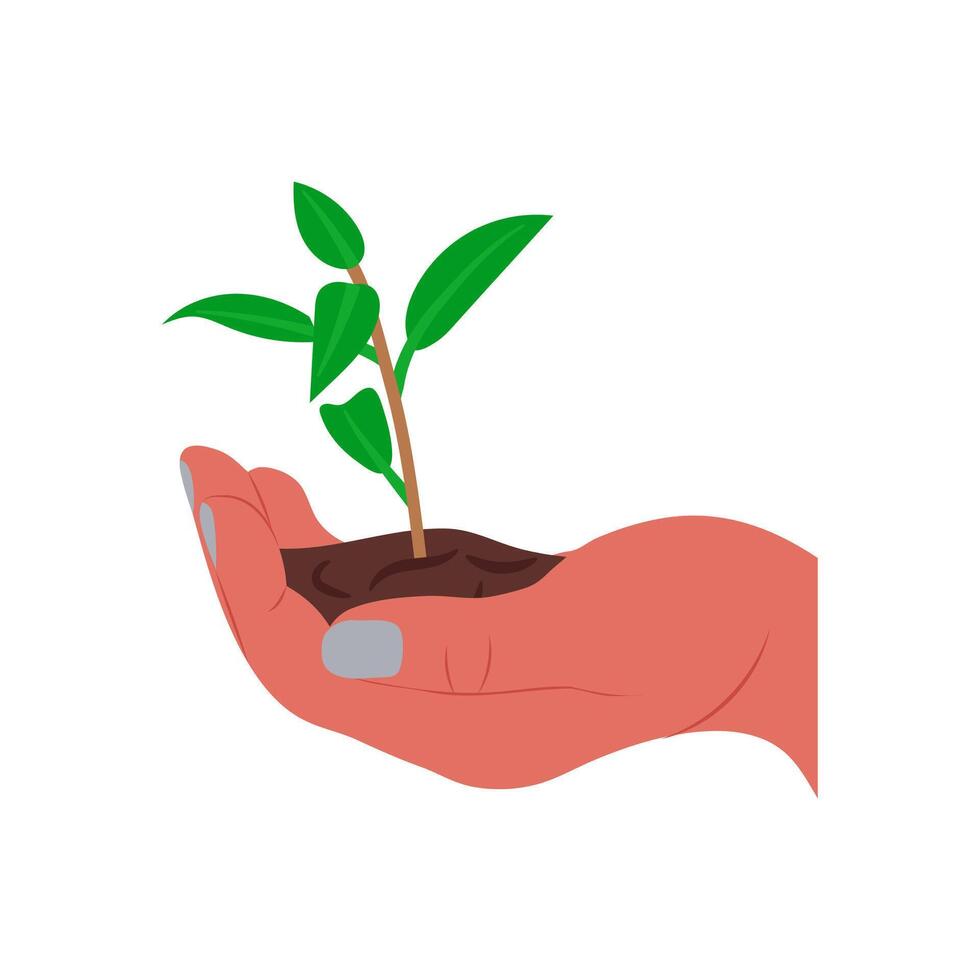 Plant A Tree Illustration vector