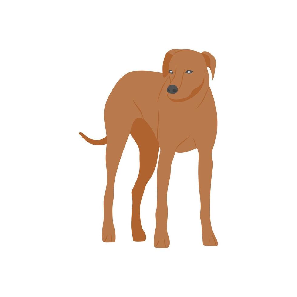Dog Flat Illustration vector