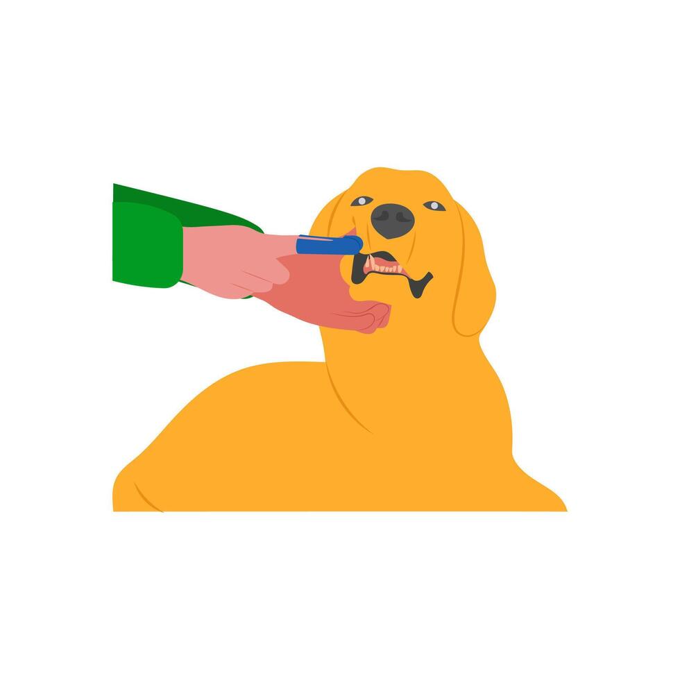 Brushing Teeth Flat Illustration vector