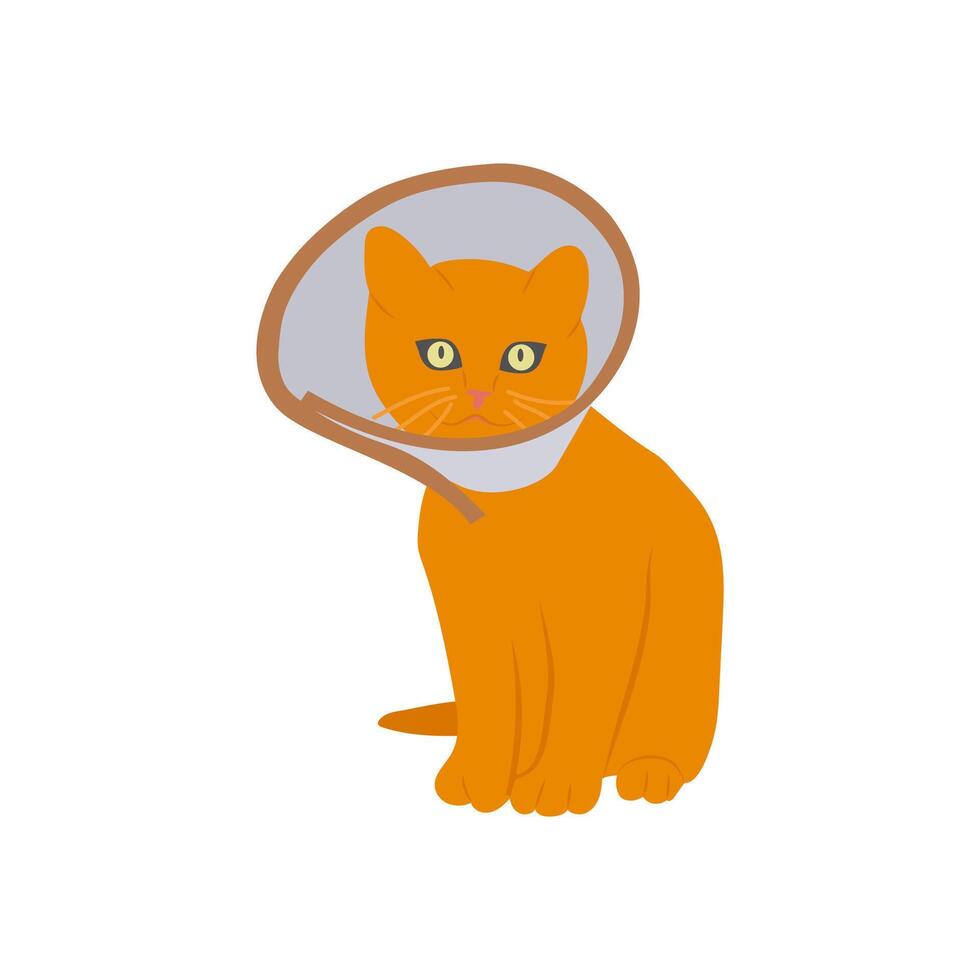 Cat Collar Cone Flat Illustration vector
