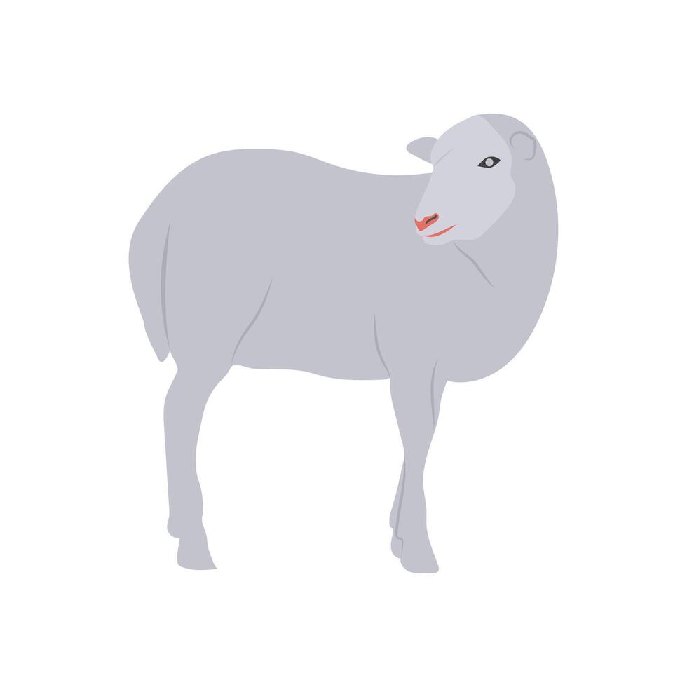 Sheep, Farming Illustration vector