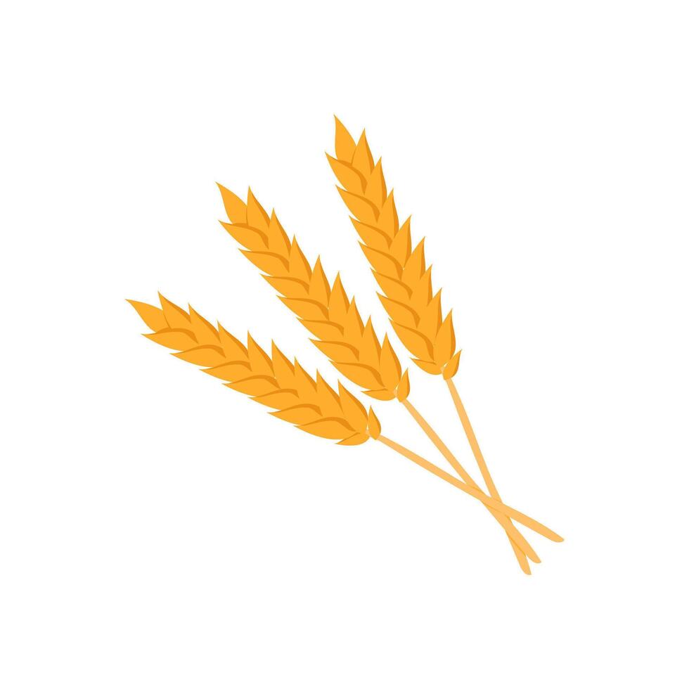 Wheat, Farming Illustration vector