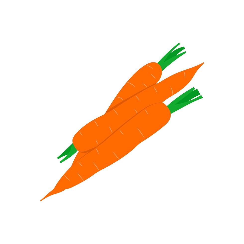 Carrots, Farming Illustration vector