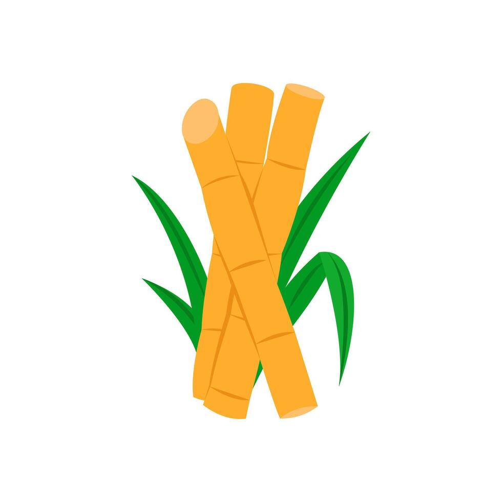 Sugar Cane, Farming Illustration vector