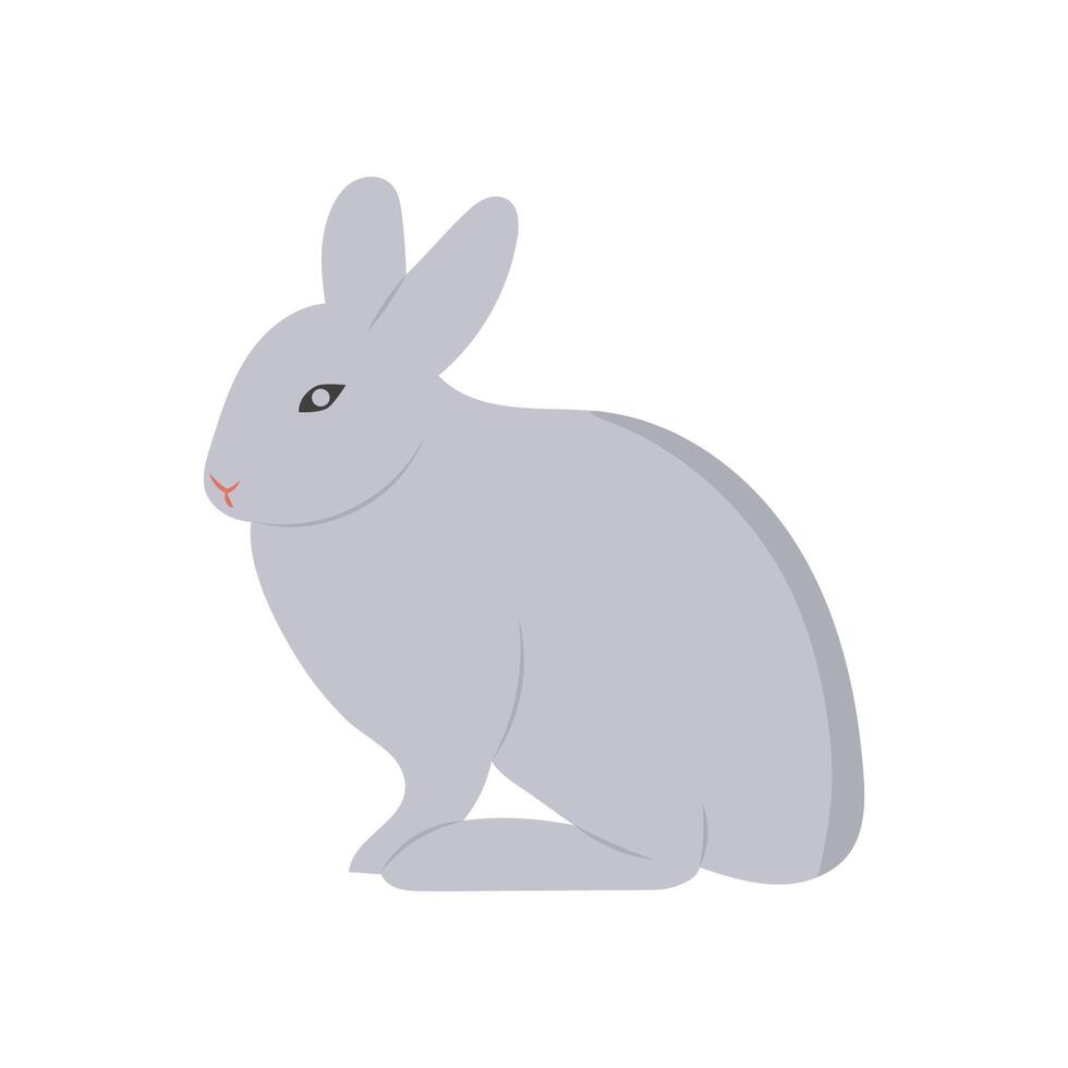 Rabbit, Farming Illustration vector