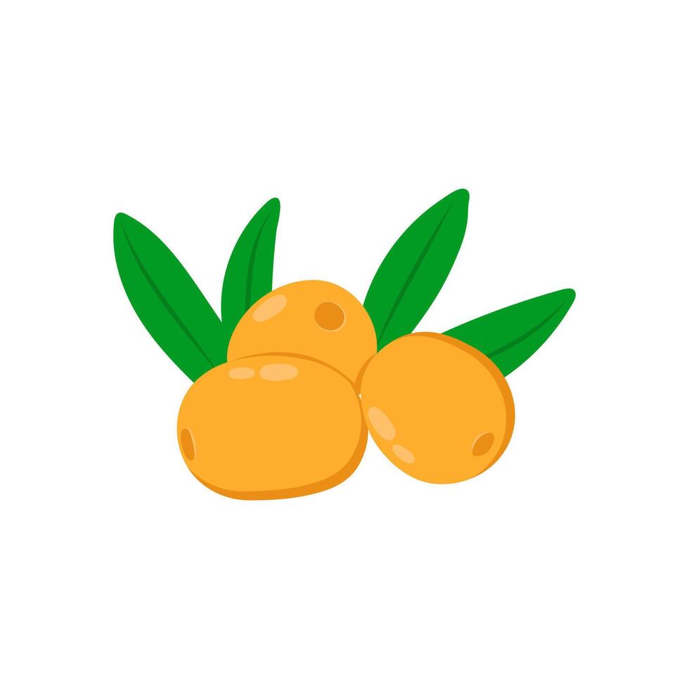 Olives, Farming Illustration vector