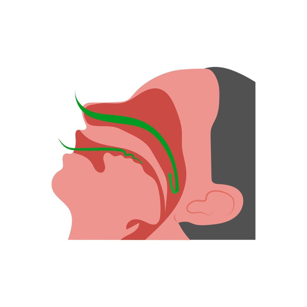 Sleep Apnea, Cardiovascular Disease Illustration Icon vector