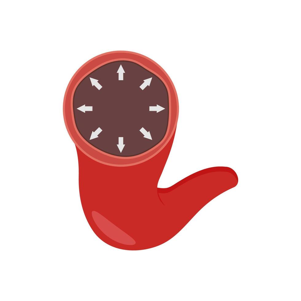 Vasodilation, Cardiovascular Disease Illustration Icon vector