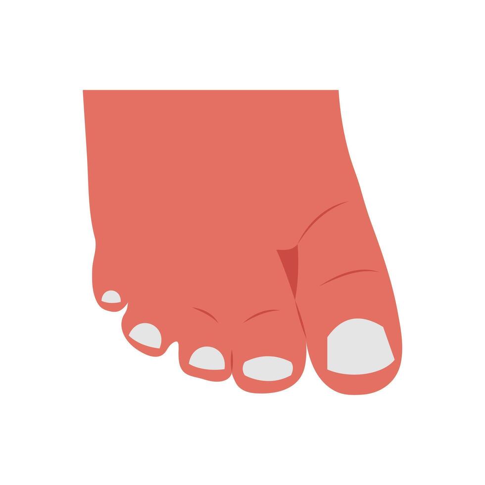 Timothy Syndrome, Cardiovascular Disease Illustration Icon vector