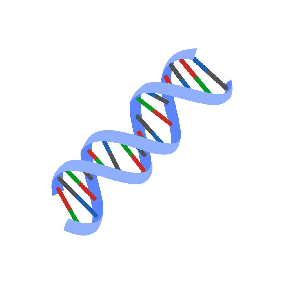 Genetics, Cardiovascular Disease Illustration Icon vector
