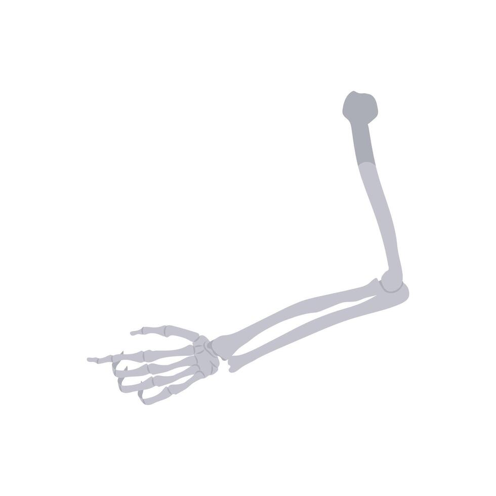 Bones, Halloween Illustration vector