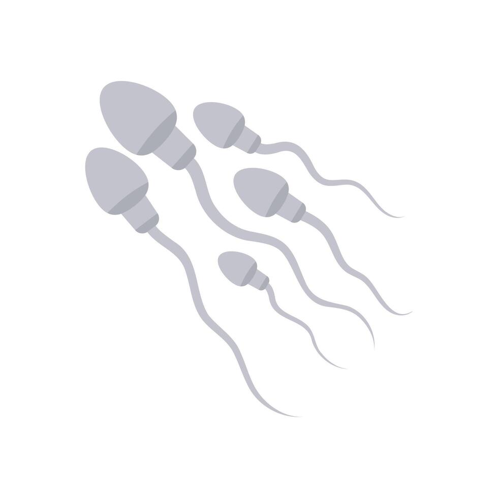Sperms, Human Body Part Illustration vector