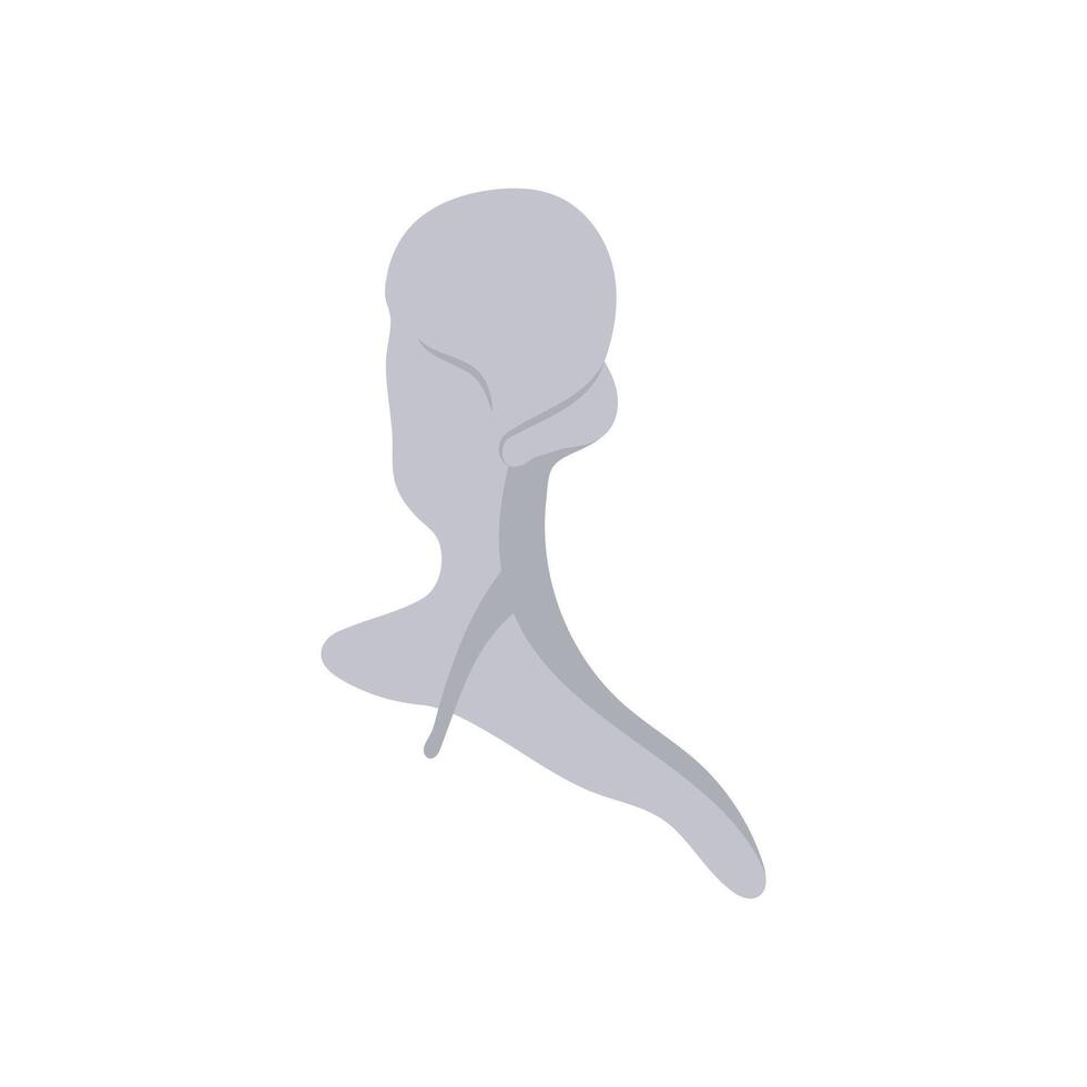 Malleus, Human Body Part Illustration vector