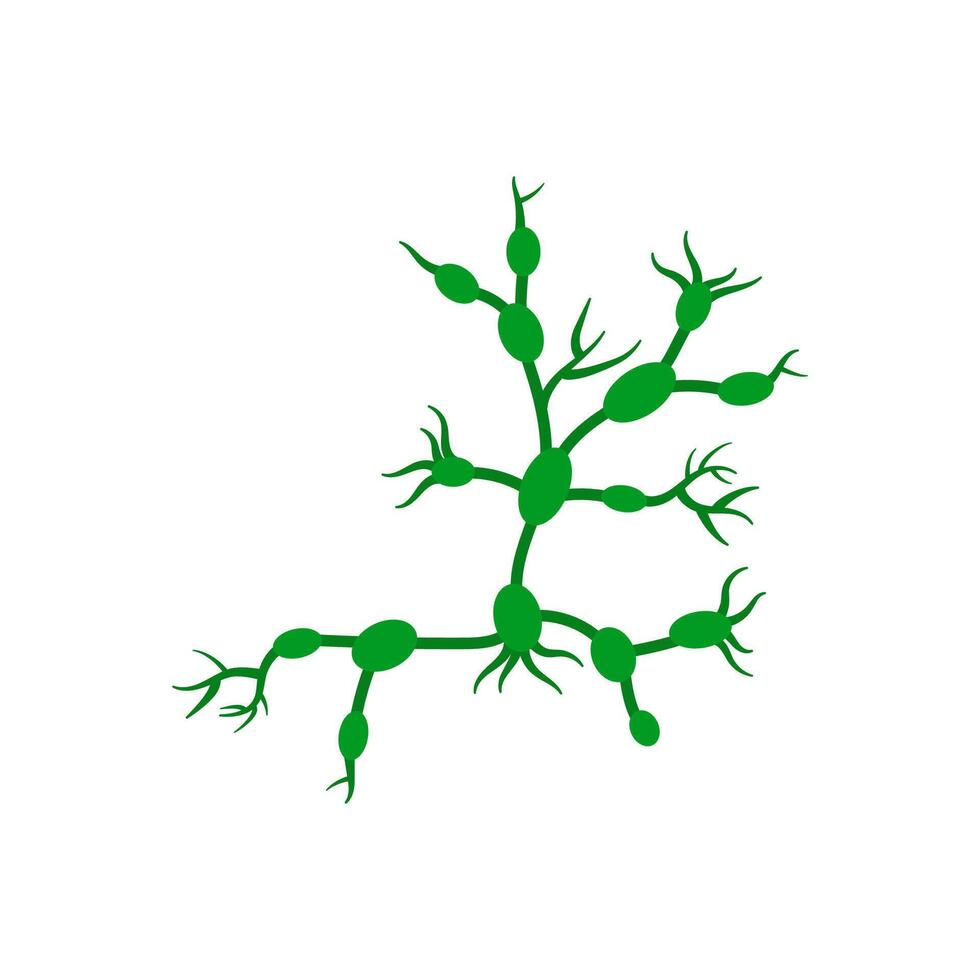 Lymph Nodes, Human Body Part Illustration vector