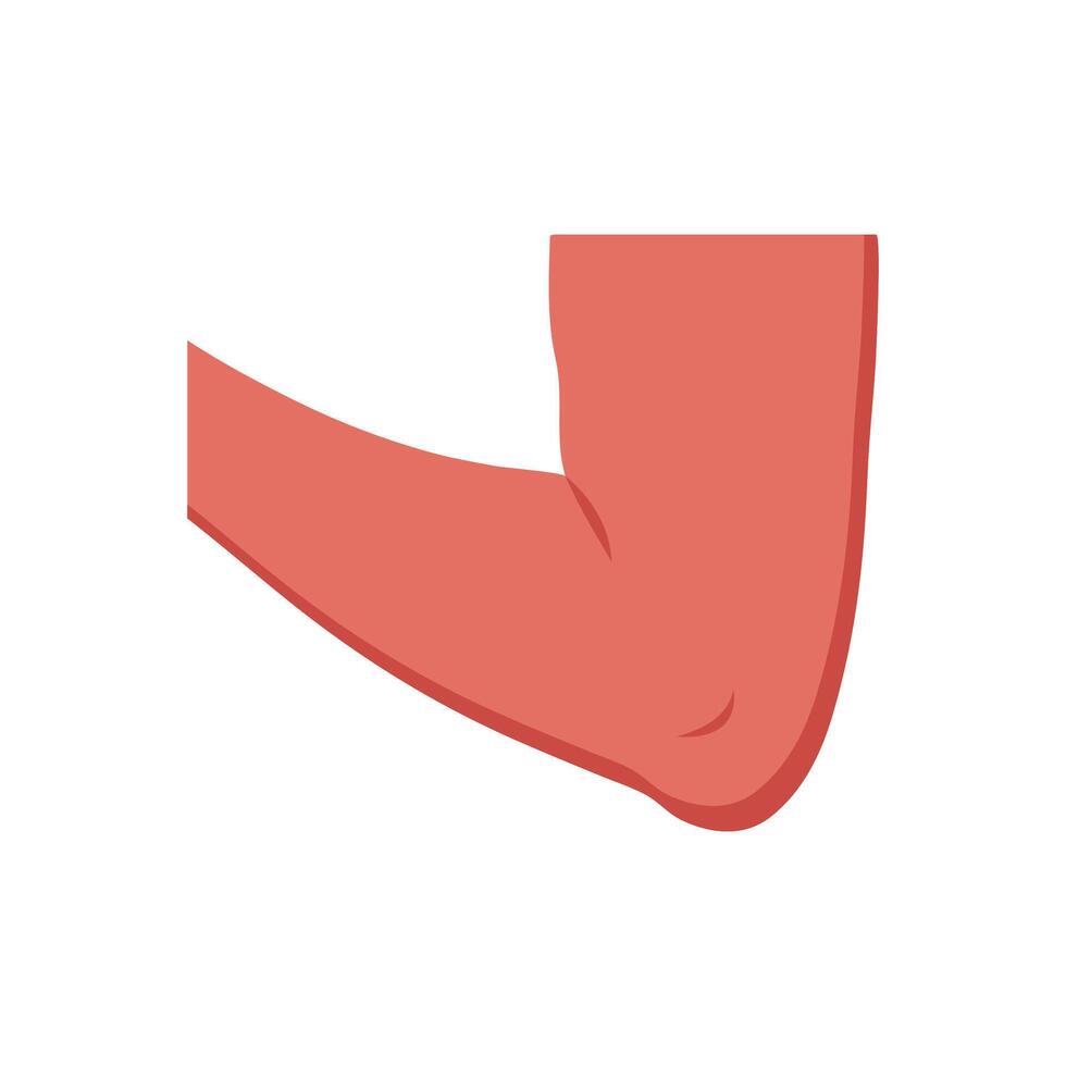 Elbow, Human Body Part Illustration vector
