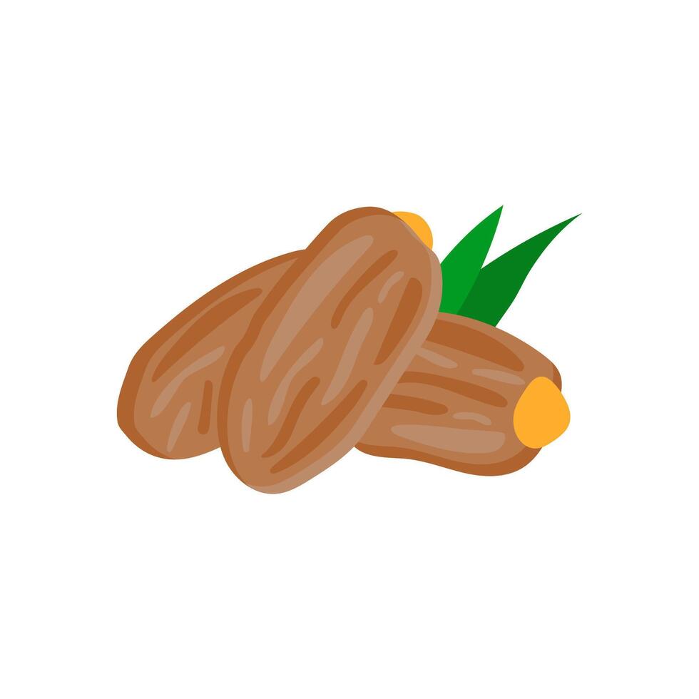 Dates , Autumn illustration vector