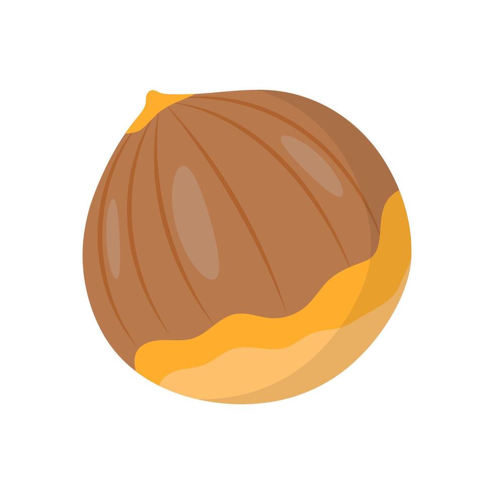 Chestnut , Autumn illustration vector
