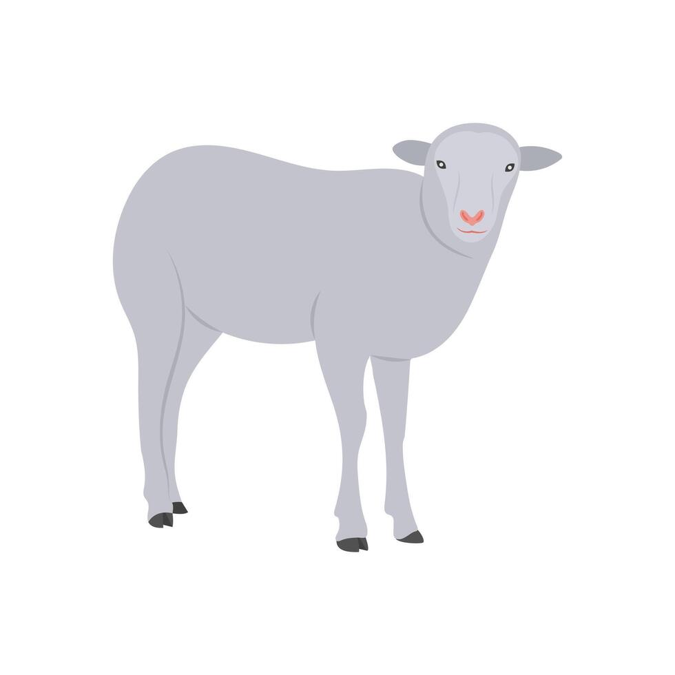 Sheep Flat Icon, illustration vector