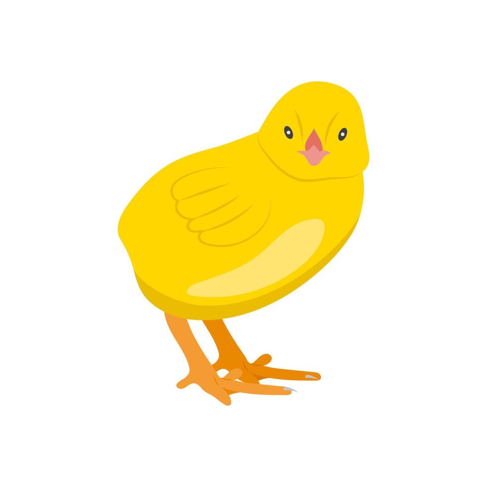 Chick Flat Icon, illustration vector
