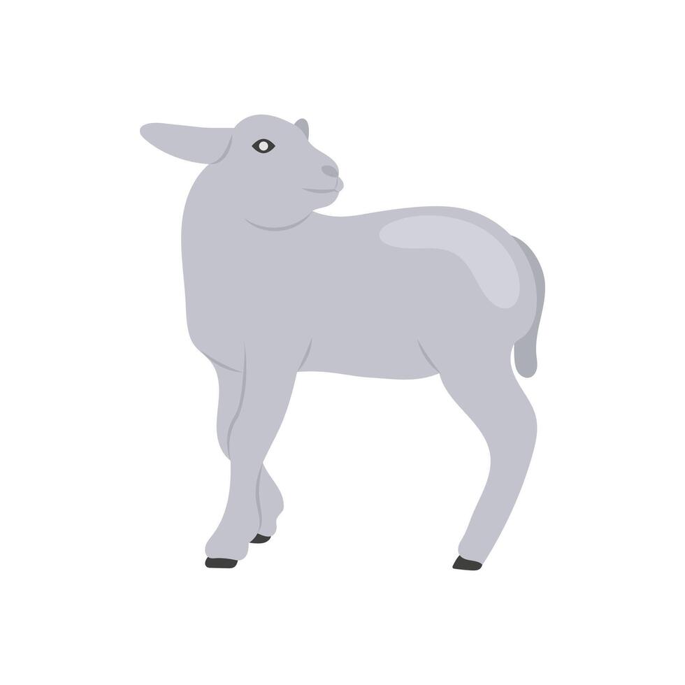 Lamb Flat Icon, illustration vector