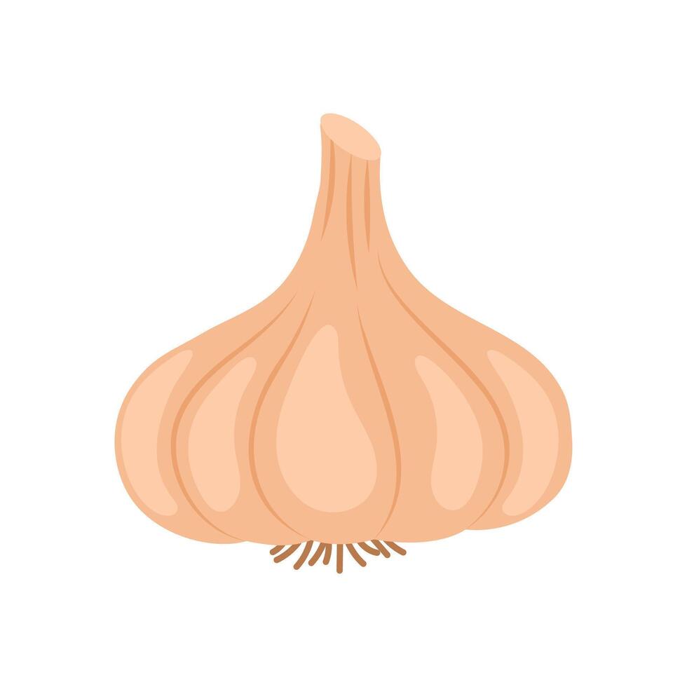 Garlic Flat Icon, illustration vector