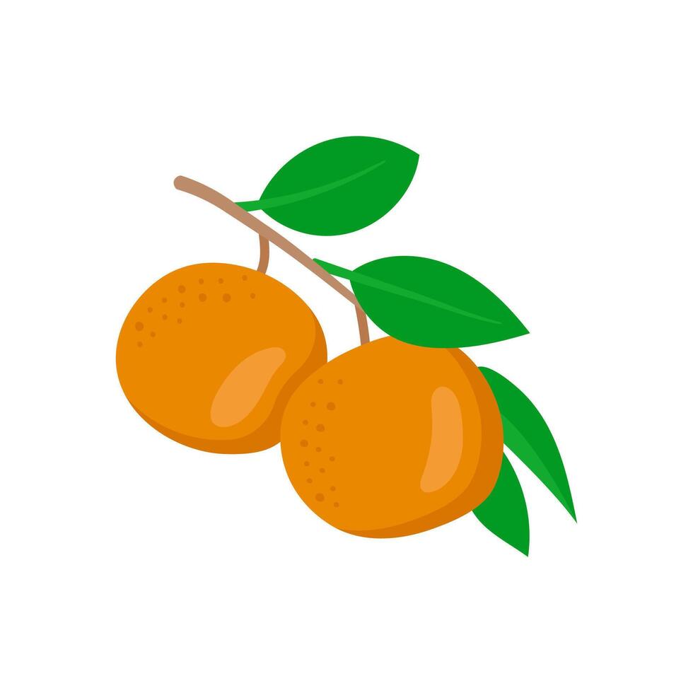 Oranges Flat Icon, illustration vector