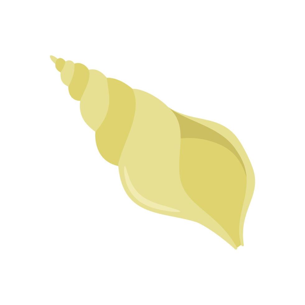 Seashell, Holidays illustration vector