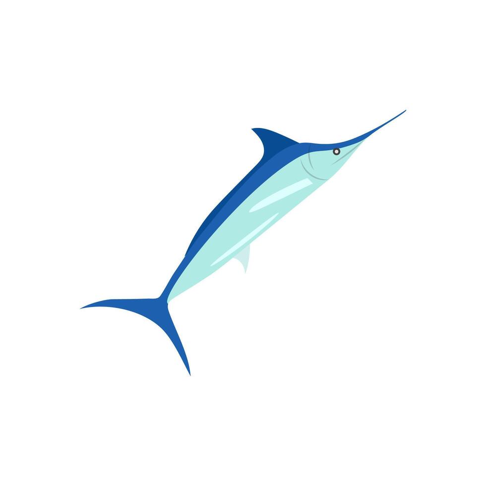 Blue Marlin, Seafood Illustration vector