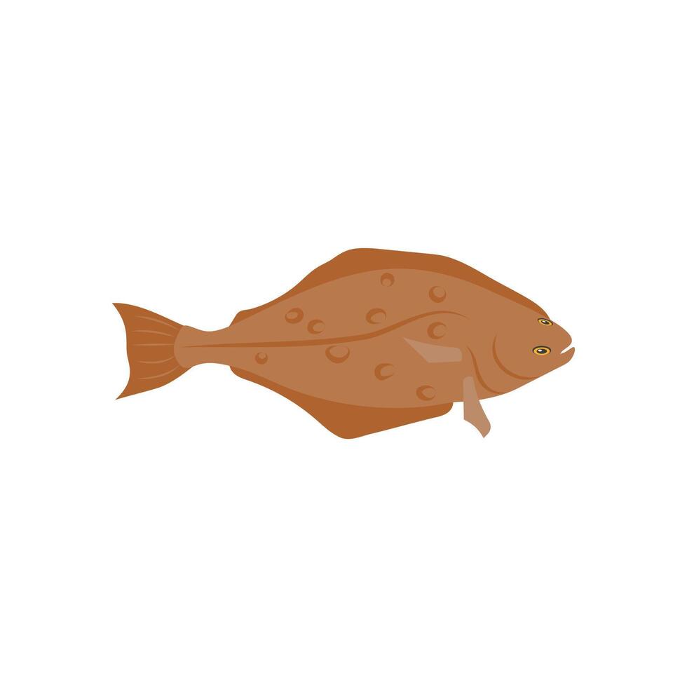 Halibut, Seafood Illustration vector