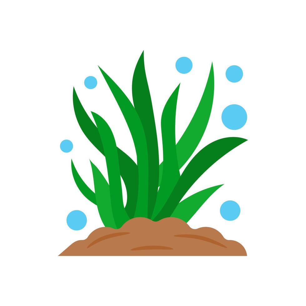 Sea Weeds, Seafood Illustration vector