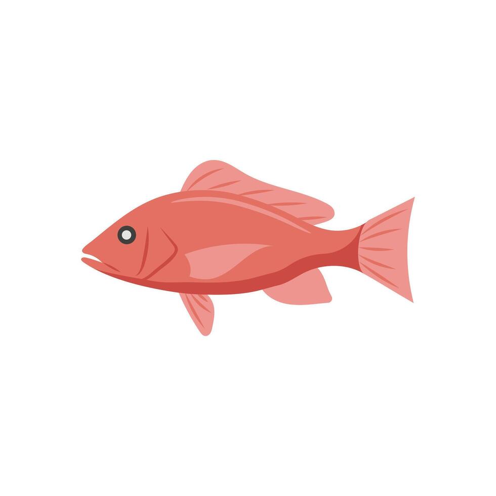 Snapper, Seafood Illustration vector