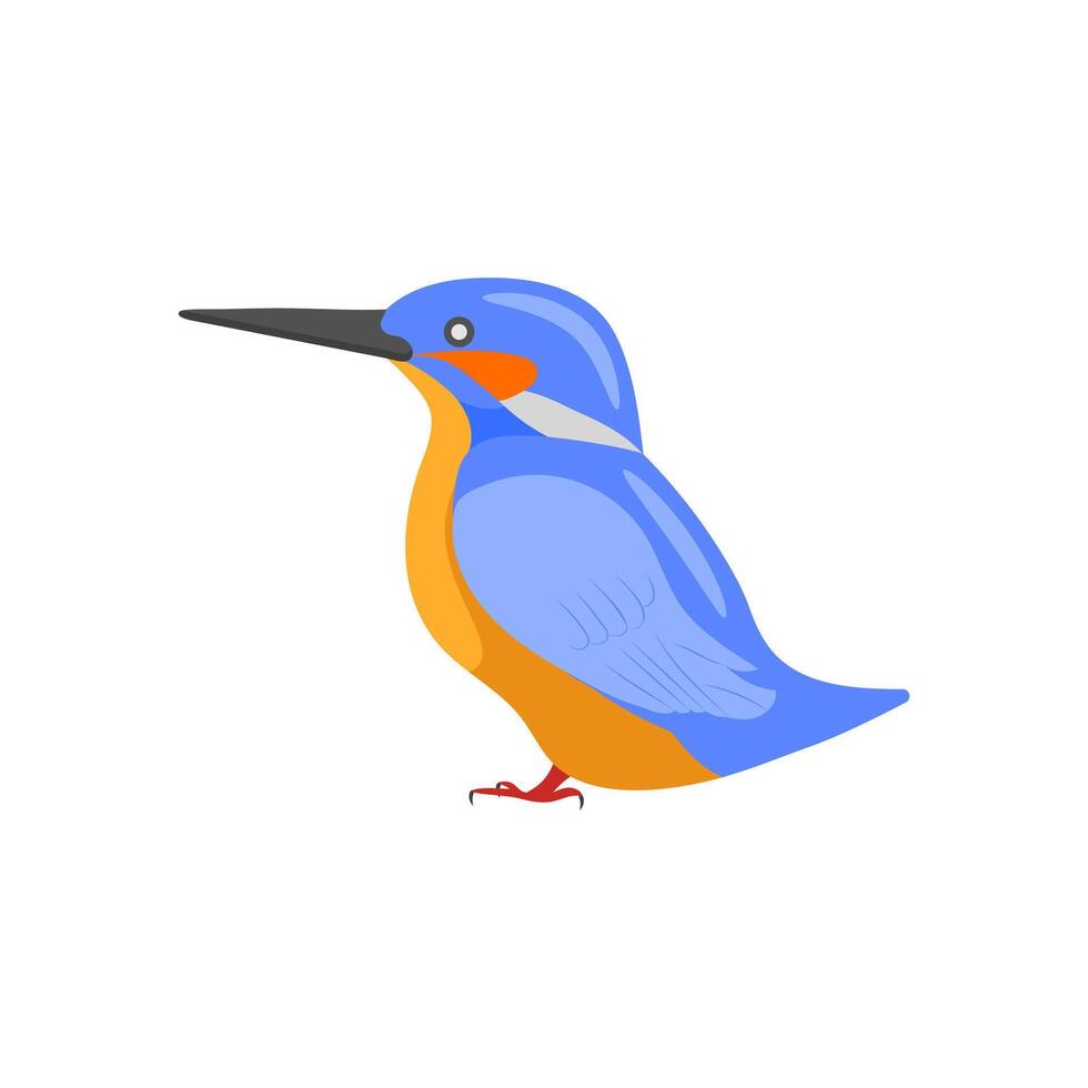 Kingsher, Australia Symbols vector