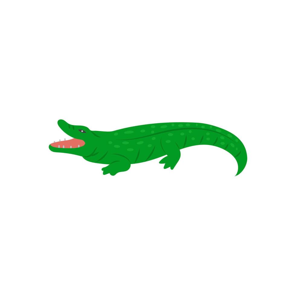 Crocodile, Australia Symbols vector