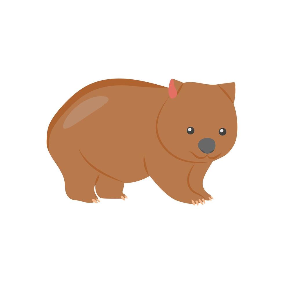 Wombat, Australia Symbols vector