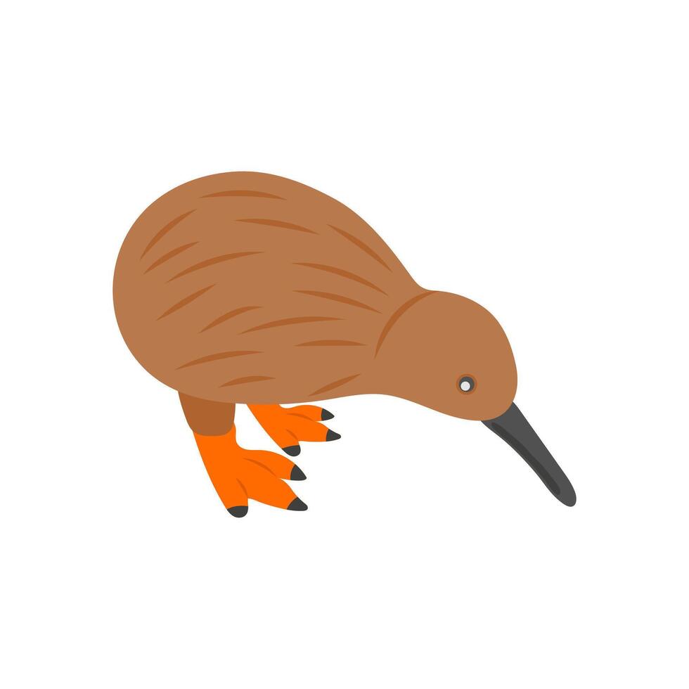 Kiwi Bird, Australia Symbols vector