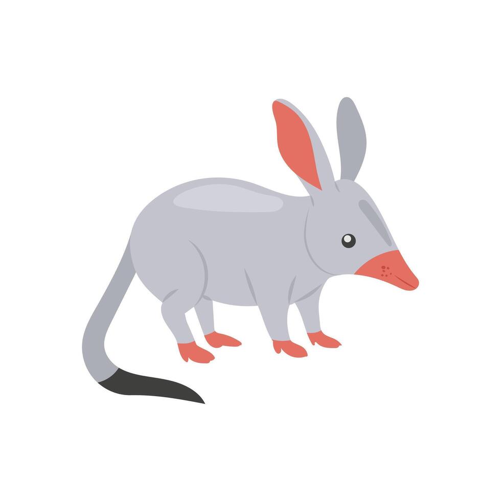 Bilby, Australia Symbols vector