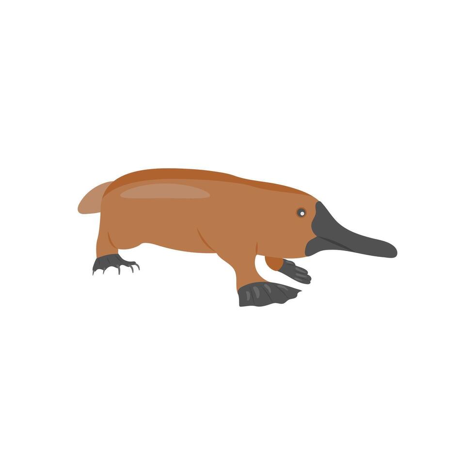 Platypus, Australia Symbols vector