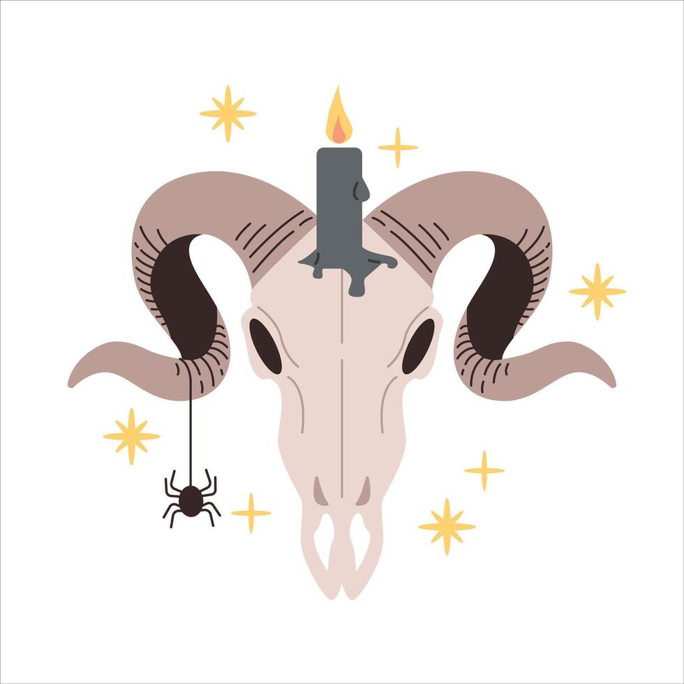 Ram skull with candle and spider vector
