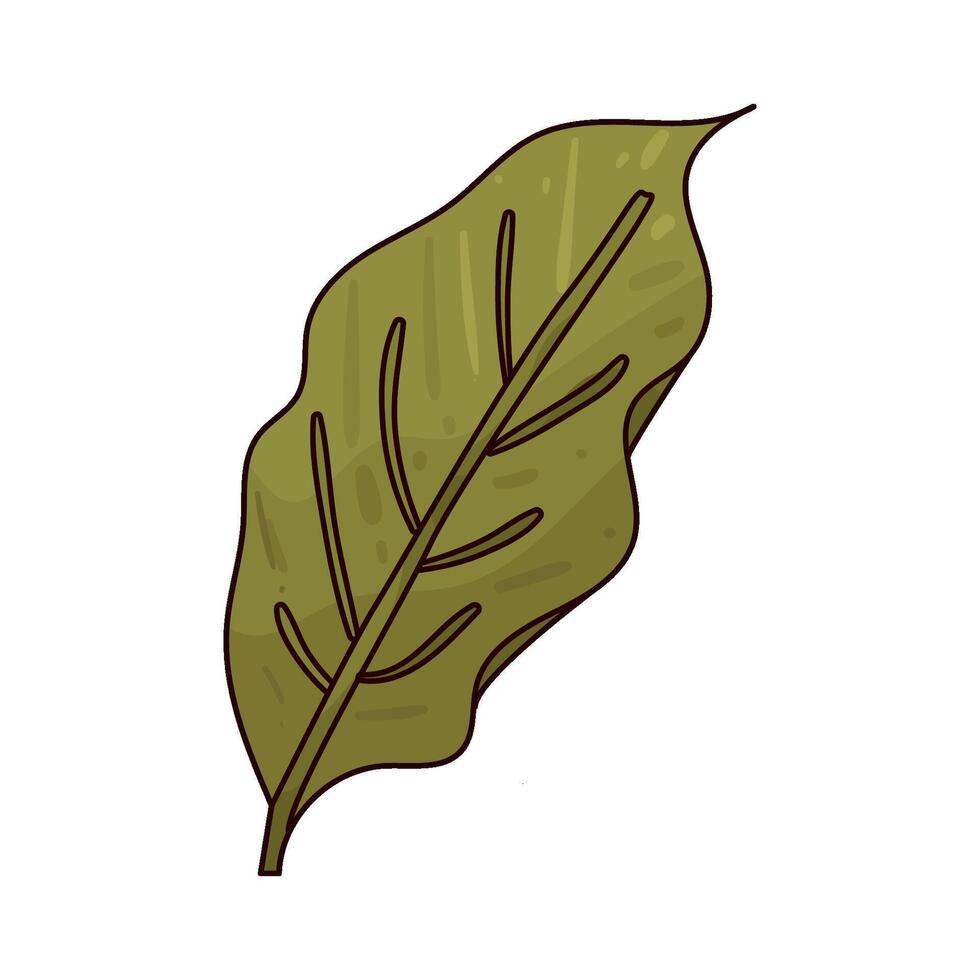 Illustration of Coffee Leaves vector