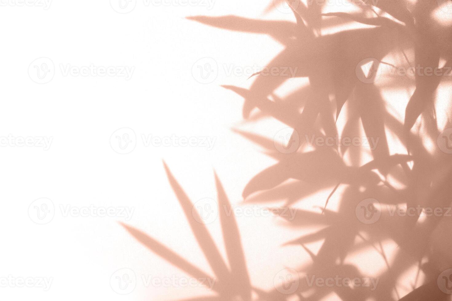 Natural bamboo shadow on white cloth background. Leaf silhouette color of 2025 year photo