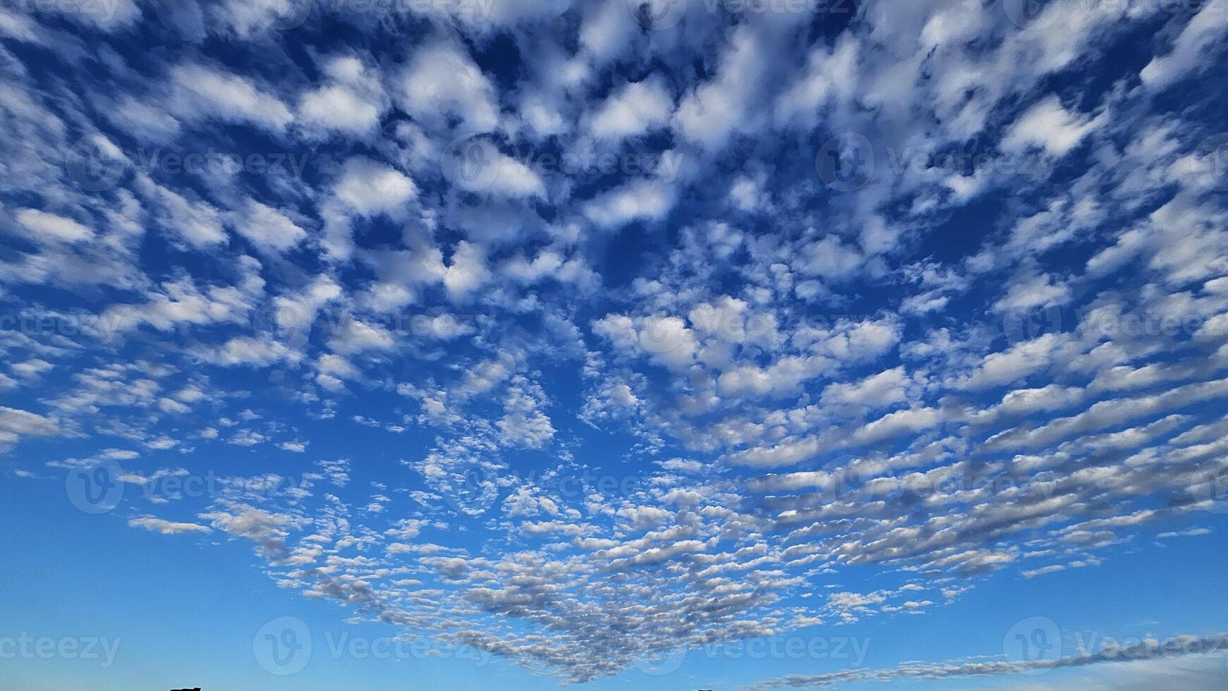 Beautiful cloud patterns formed in a summer afternoon in a blue sky with a silhouette of tree shadows in the background in walnut creek, California photo