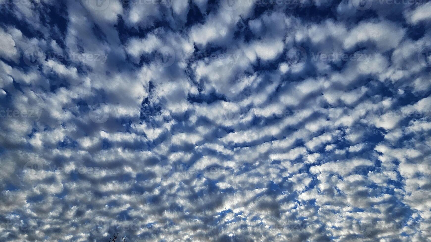 Beautiful cloud patterns formed in a summer afternoon in a blue sky with a silhouette of tree shadows in the background in walnut creek, California photo