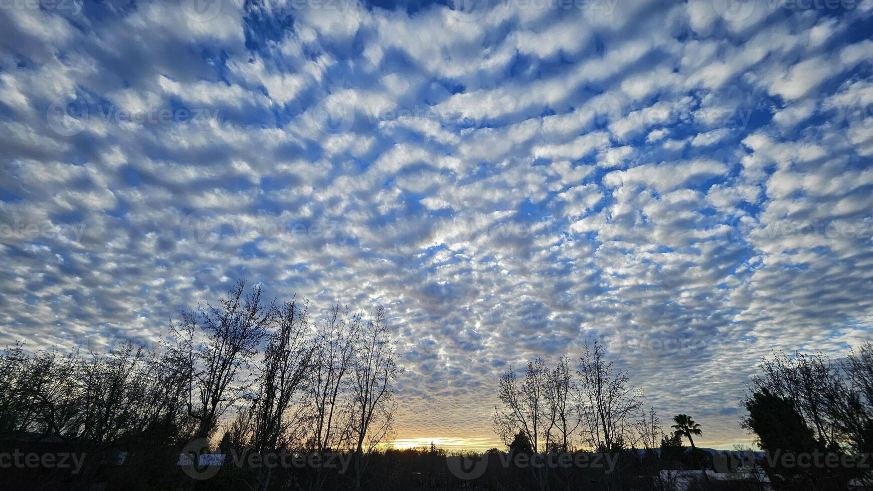 Beautiful cloud patterns formed in a summer afternoon in a blue sky with a silhouette of tree shadows in the background in walnut creek, California photo