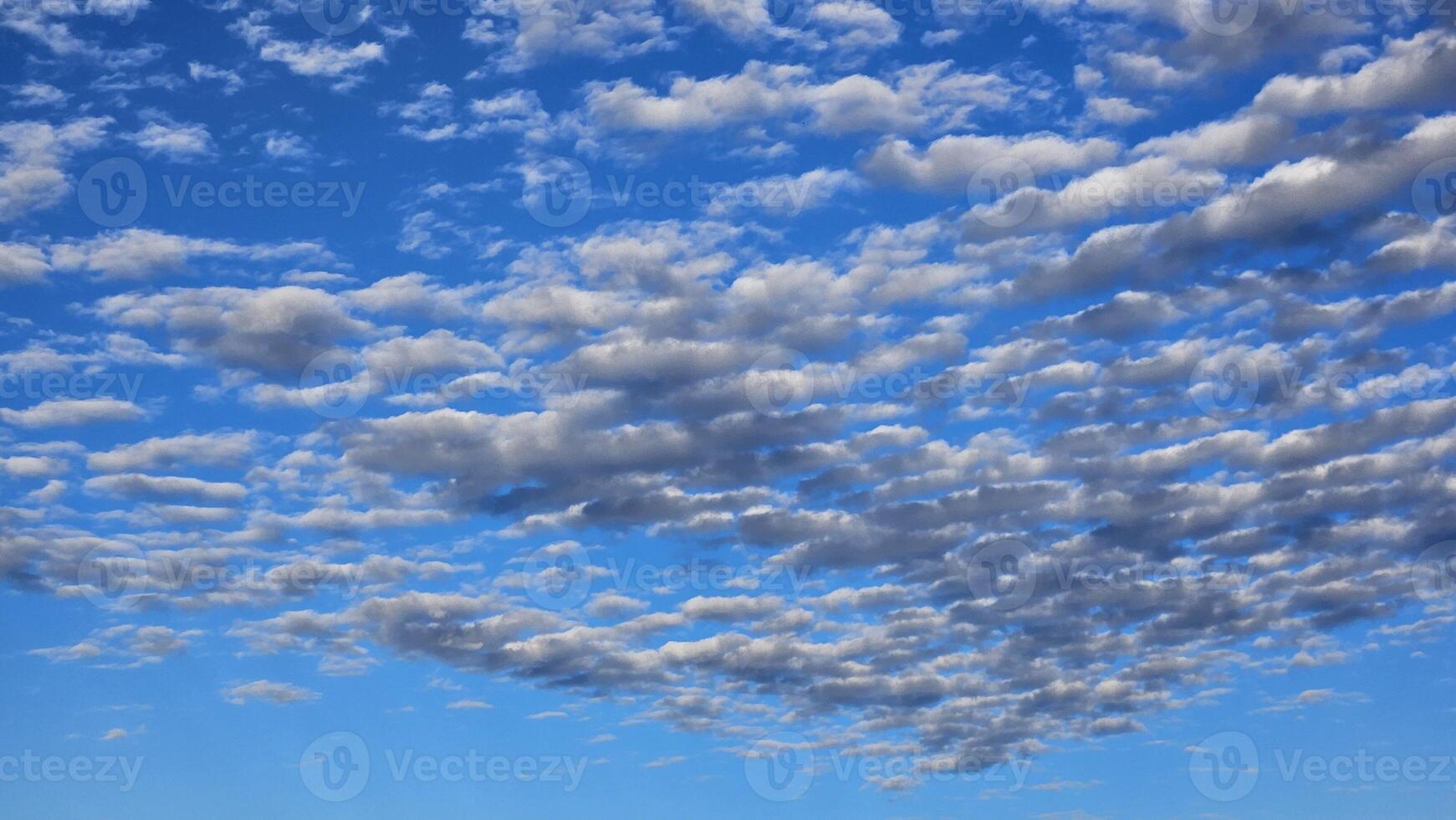 Beautiful cloud patterns formed in a summer afternoon in a blue sky with a silhouette of tree shadows in the background in walnut creek, California photo