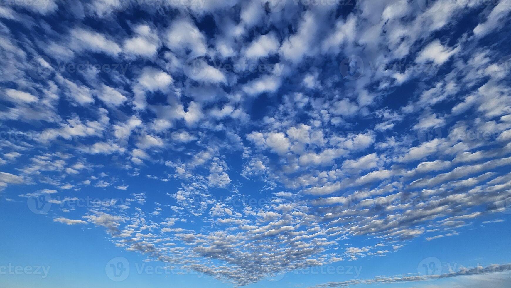 Beautiful cloud patterns formed in a summer afternoon in a blue sky with a silhouette of tree shadows in the background in walnut creek, California photo
