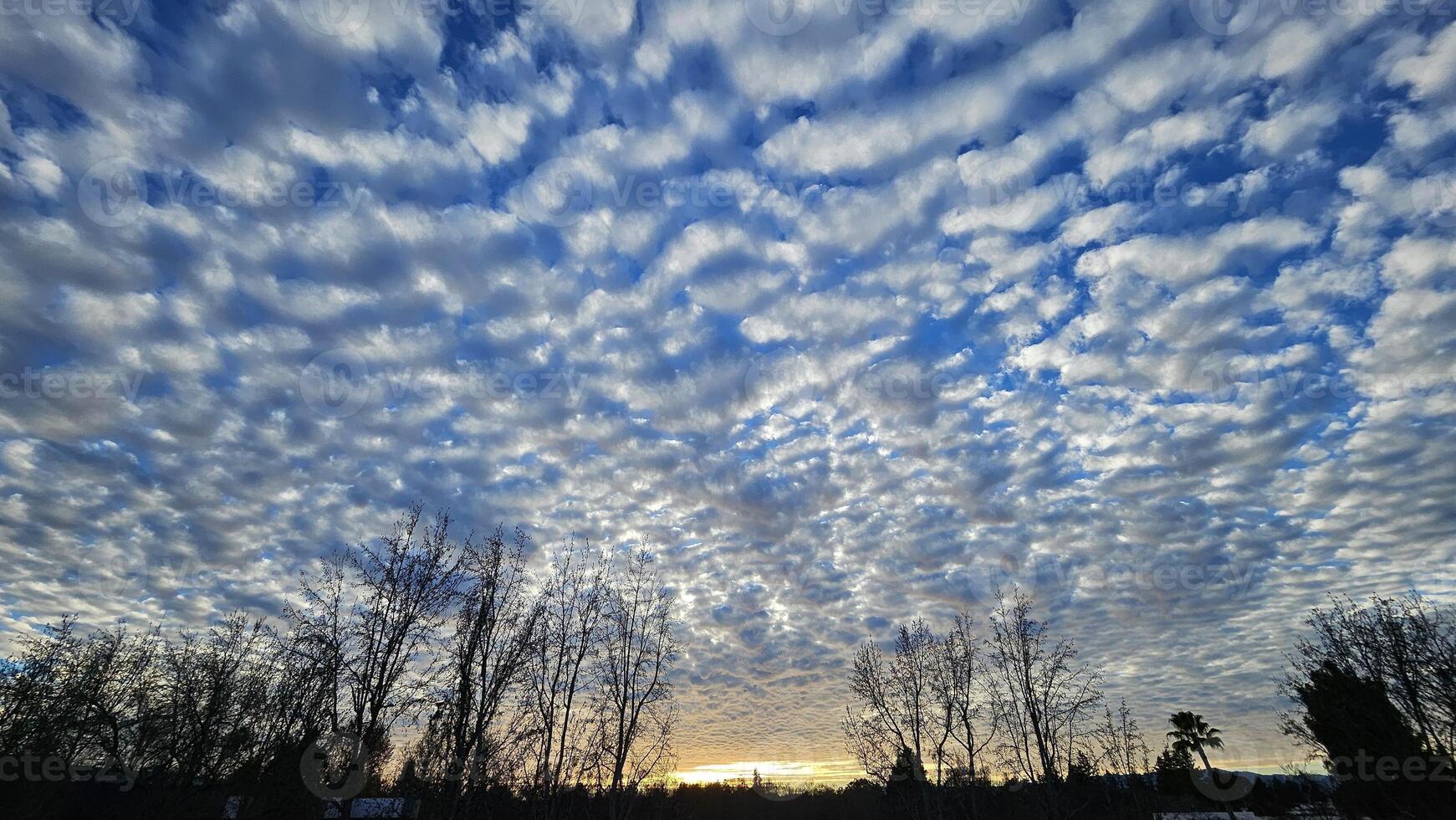 Beautiful cloud patterns formed in a summer afternoon in a blue sky with a silhouette of tree shadows in the background in walnut creek, California photo