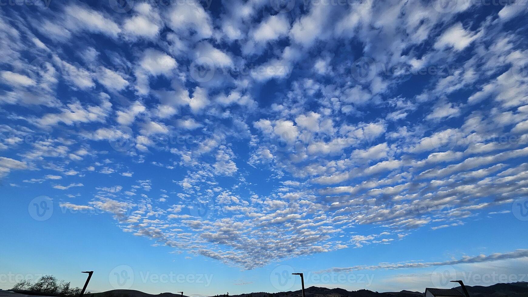 Beautiful cloud patterns formed in a summer afternoon in a blue sky with a silhouette of tree shadows in the background in walnut creek, California photo