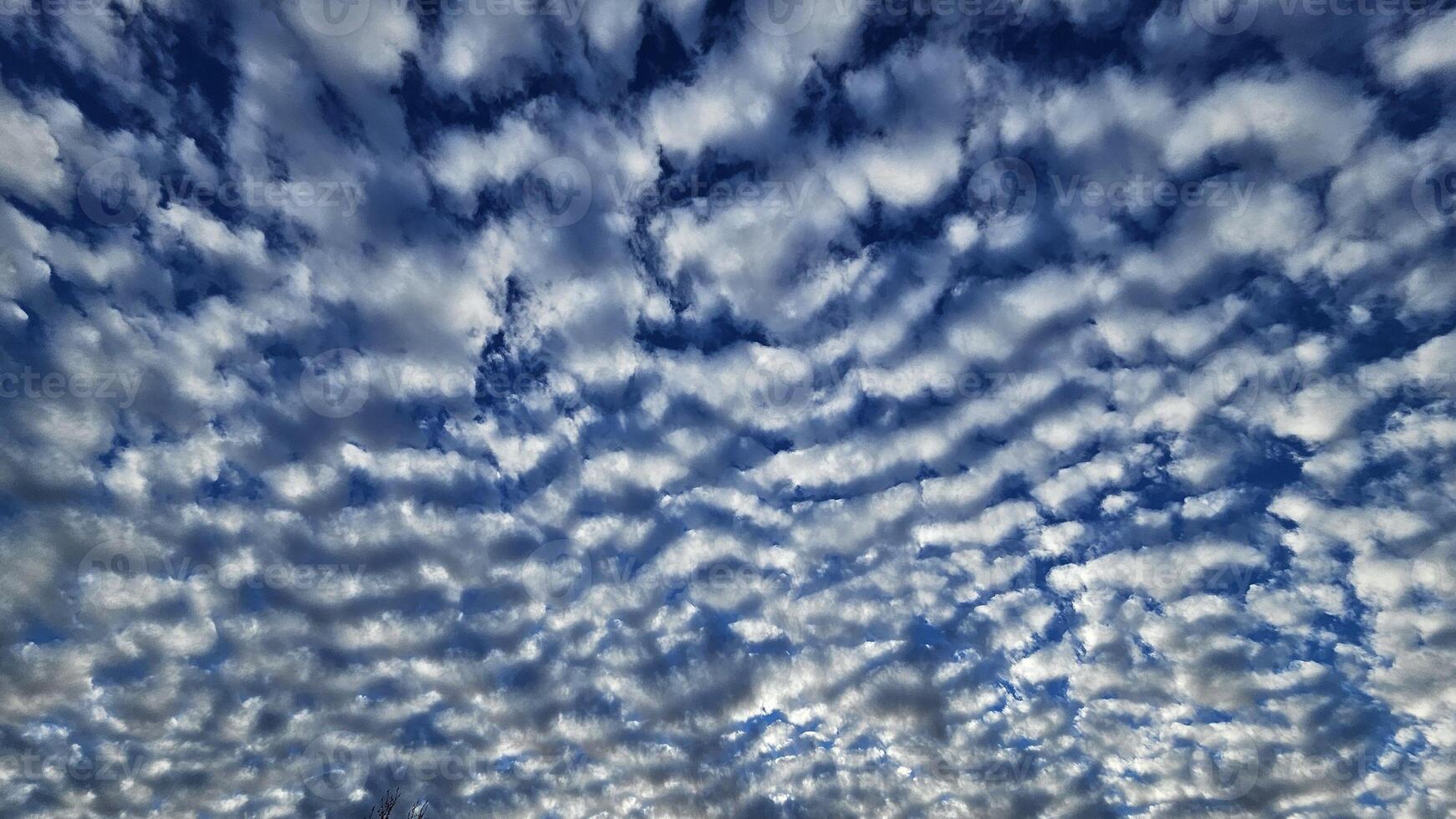 Beautiful cloud patterns formed in a summer afternoon in a blue sky with a silhouette of tree shadows in the background in walnut creek, California photo