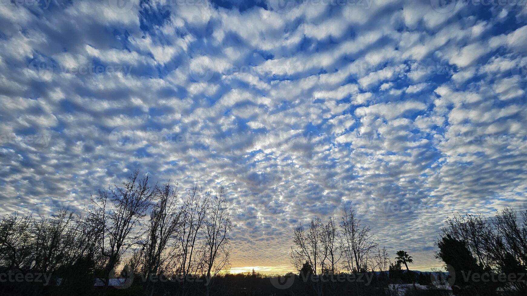 Beautiful cloud patterns formed in a summer afternoon in a blue sky with a silhouette of tree shadows in the background in walnut creek, California photo